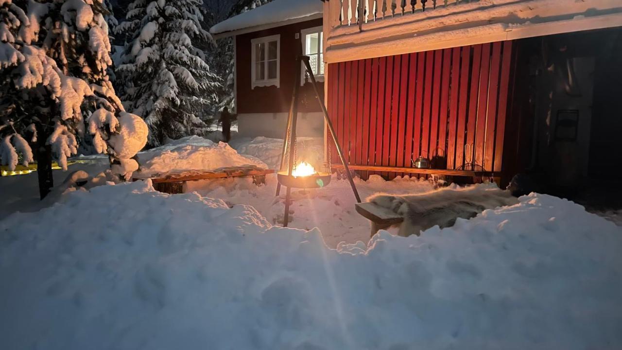 Mountain Cabin 洛夫斯达伦 外观 照片
