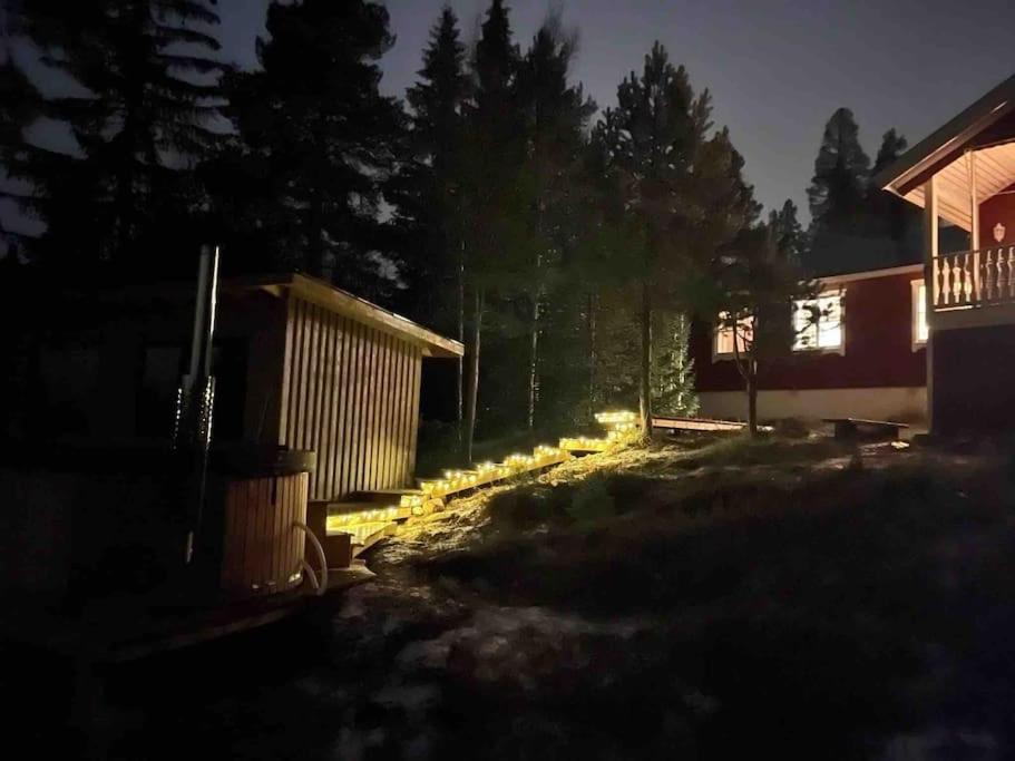 Mountain Cabin 洛夫斯达伦 外观 照片