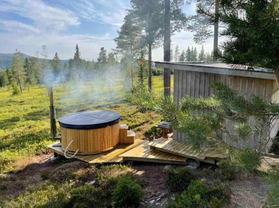 Mountain Cabin 洛夫斯达伦 外观 照片