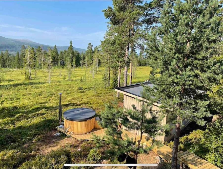 Mountain Cabin 洛夫斯达伦 外观 照片