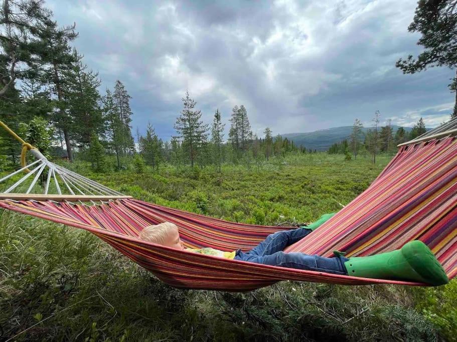 Mountain Cabin 洛夫斯达伦 外观 照片