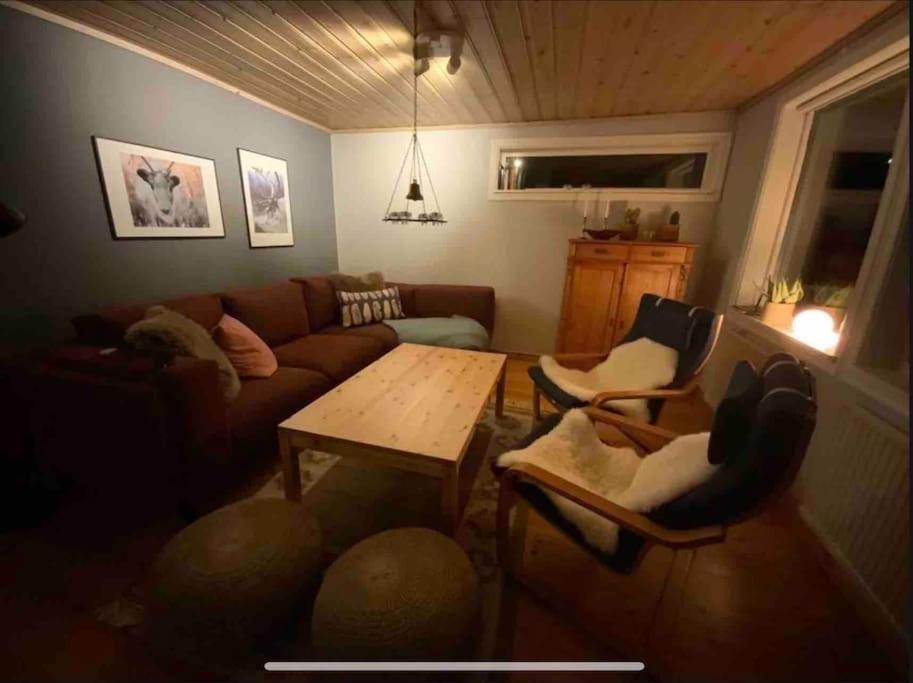 Mountain Cabin 洛夫斯达伦 外观 照片