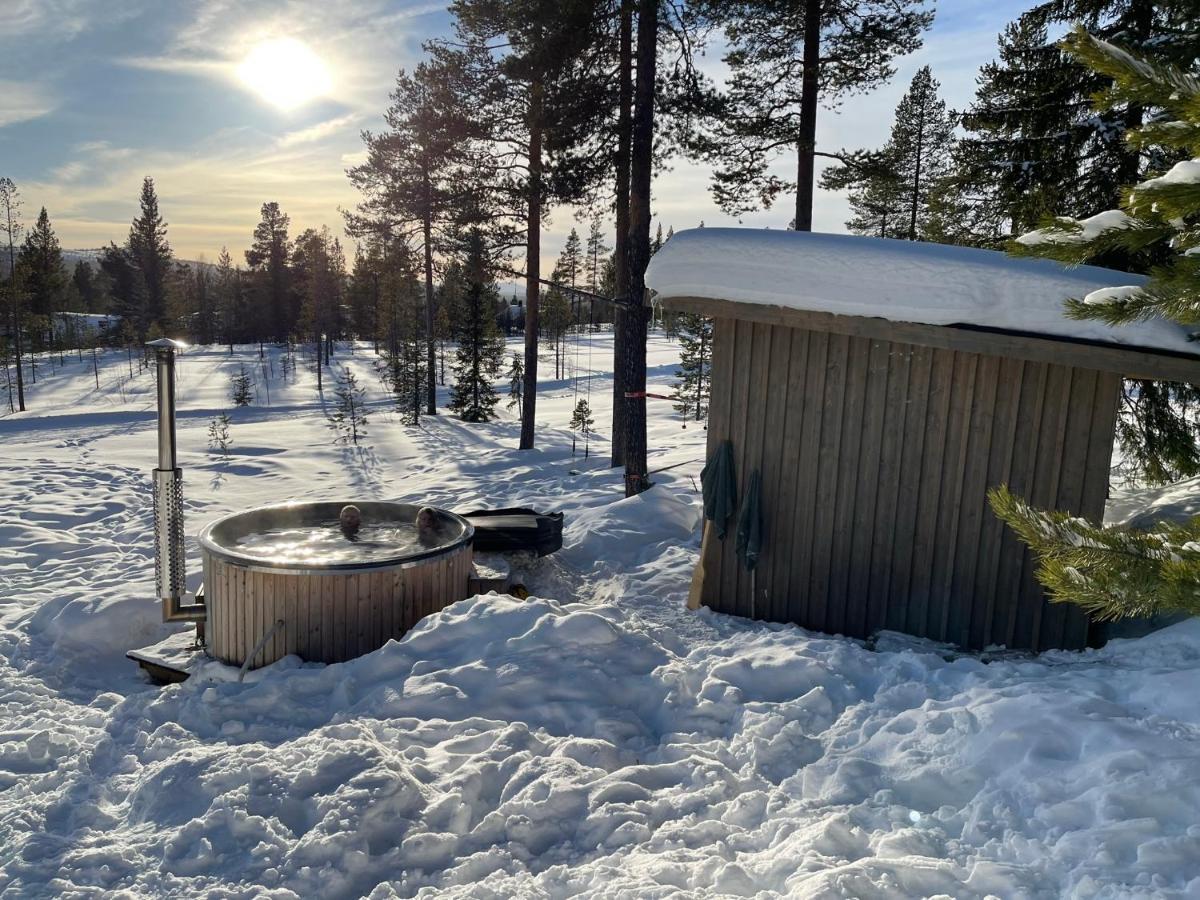 Mountain Cabin 洛夫斯达伦 外观 照片