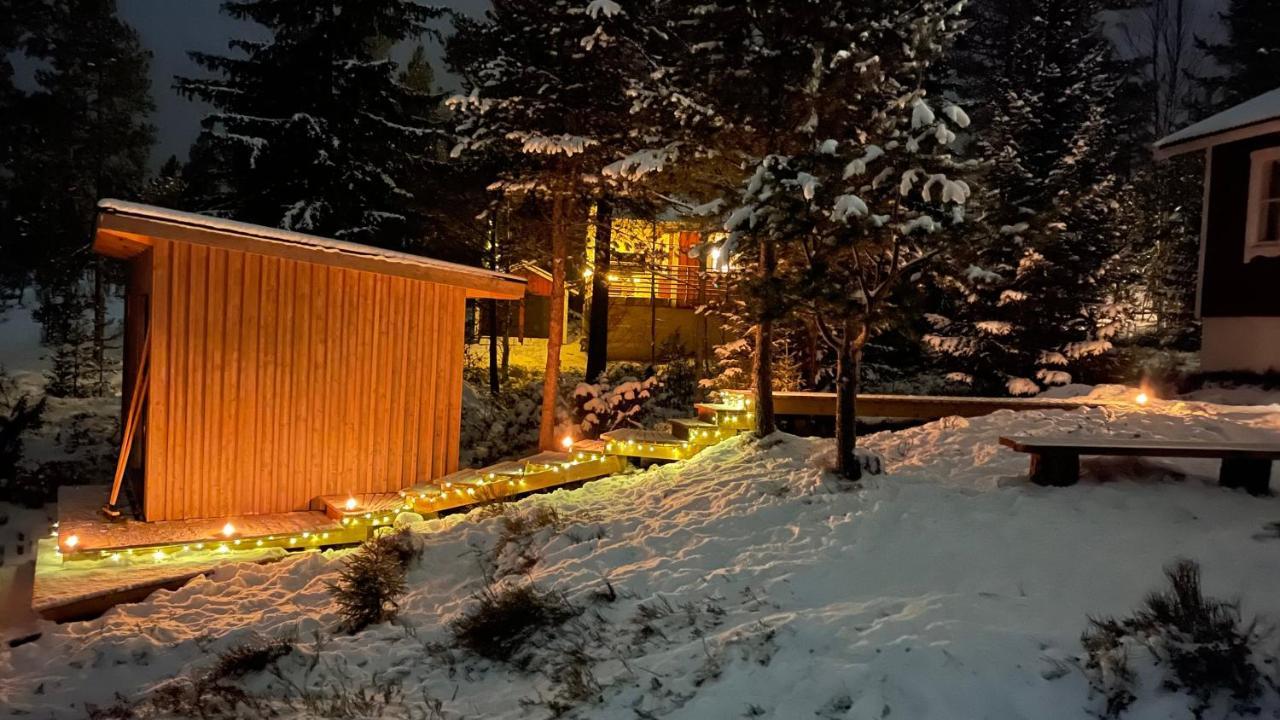 Mountain Cabin 洛夫斯达伦 外观 照片