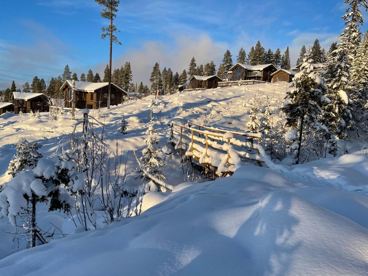 Mountain Cabin 洛夫斯达伦 外观 照片