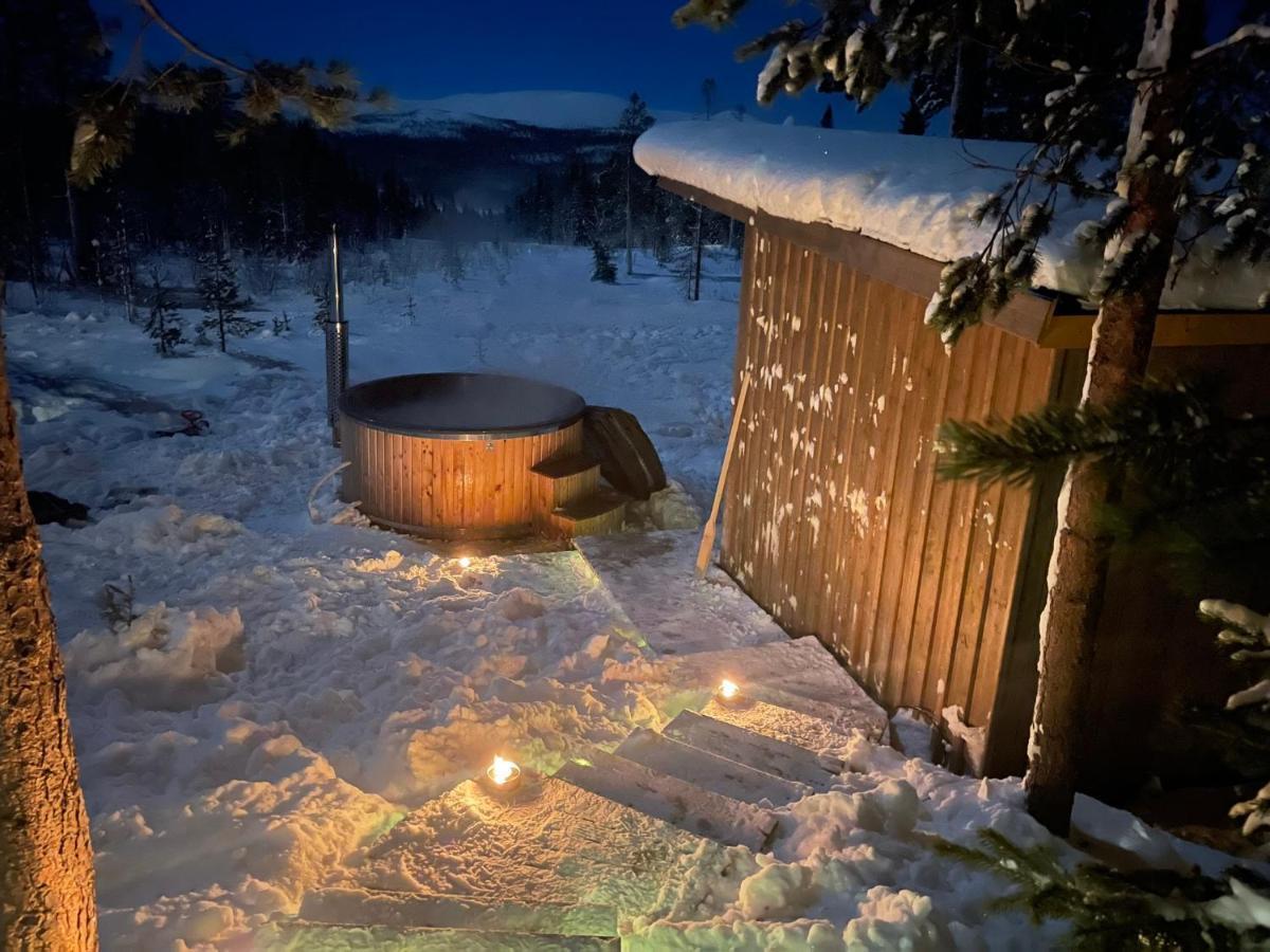 Mountain Cabin 洛夫斯达伦 外观 照片