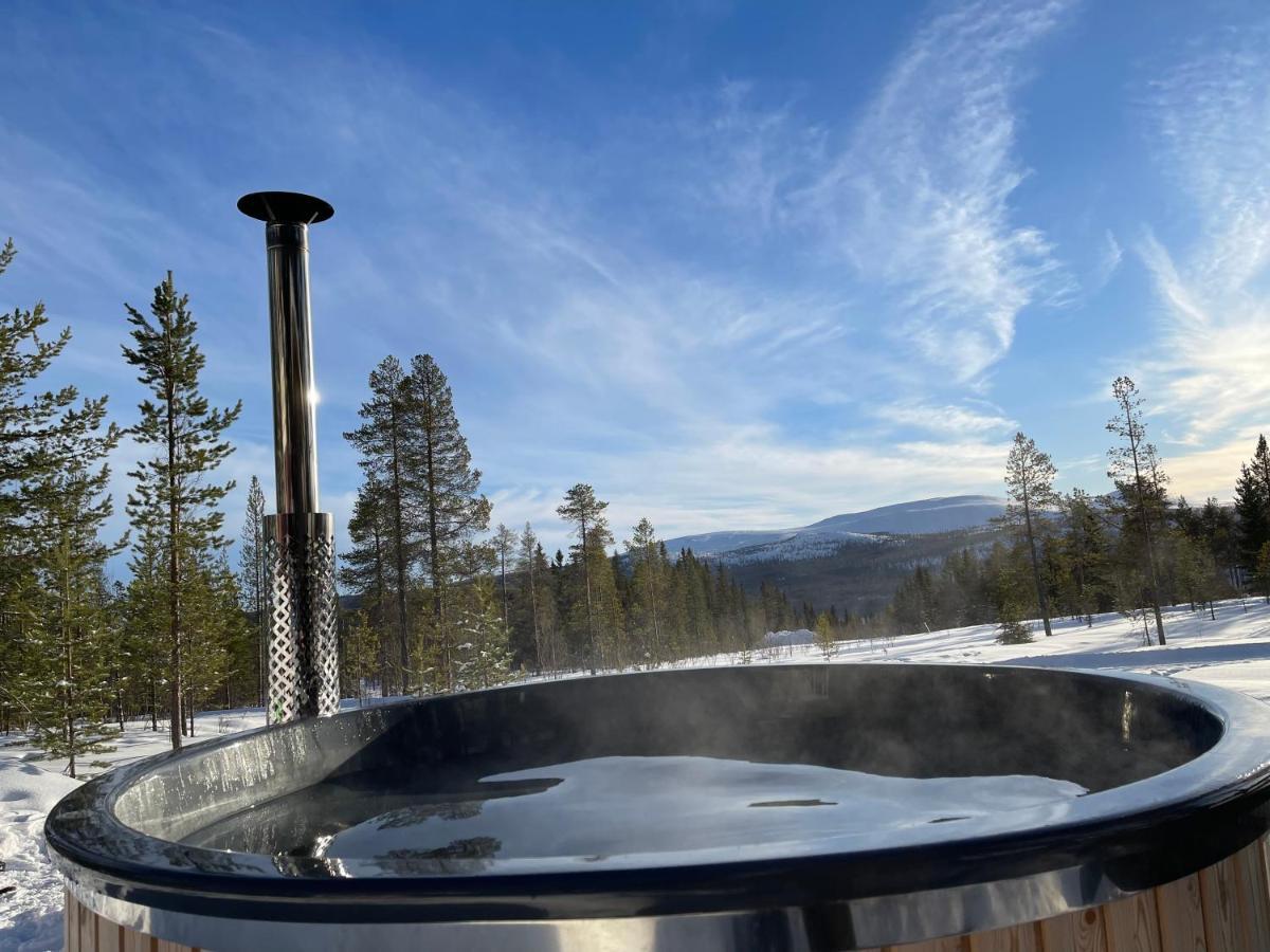 Mountain Cabin 洛夫斯达伦 外观 照片