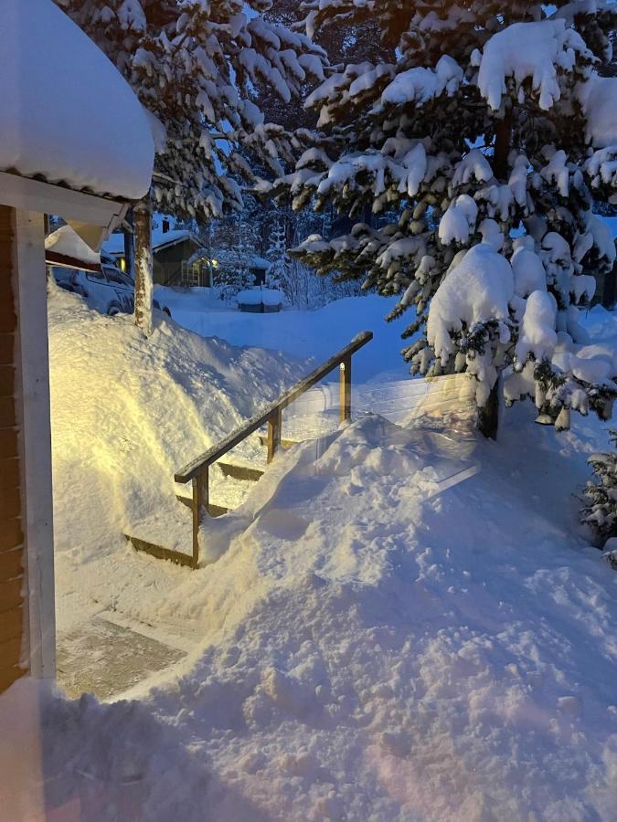 Mountain Cabin 洛夫斯达伦 外观 照片