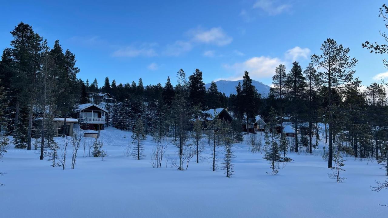 Mountain Cabin 洛夫斯达伦 外观 照片