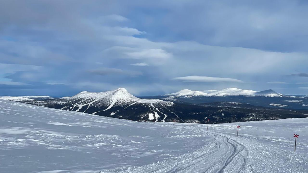 Mountain Cabin 洛夫斯达伦 外观 照片